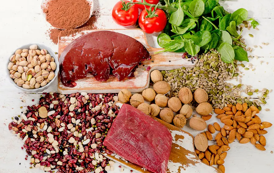 nutrisi
