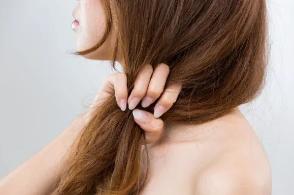 rambut kering dan kaku