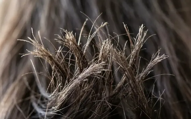 10 Penyebab Utama dan Cara Mengatasi Rambut Bercabang